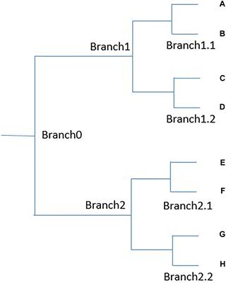 Creating Neuroscientific Knowledge Organization System Based on Word Representation and Agglomerative Clustering Algorithm